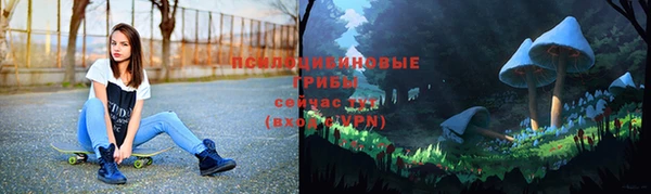 spice Бородино