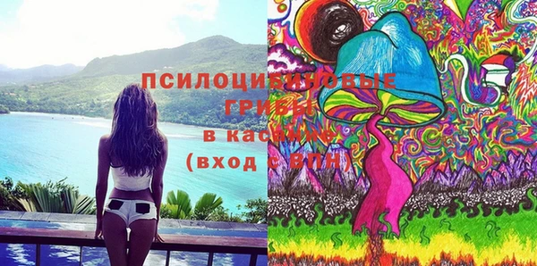 spice Бородино