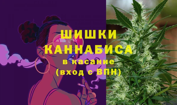 spice Бородино