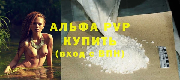 spice Бородино