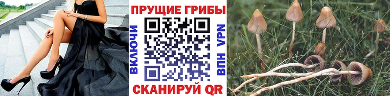 mega как зайти Горнозаводск Галлюциногенные грибы ЛСД купить закладку